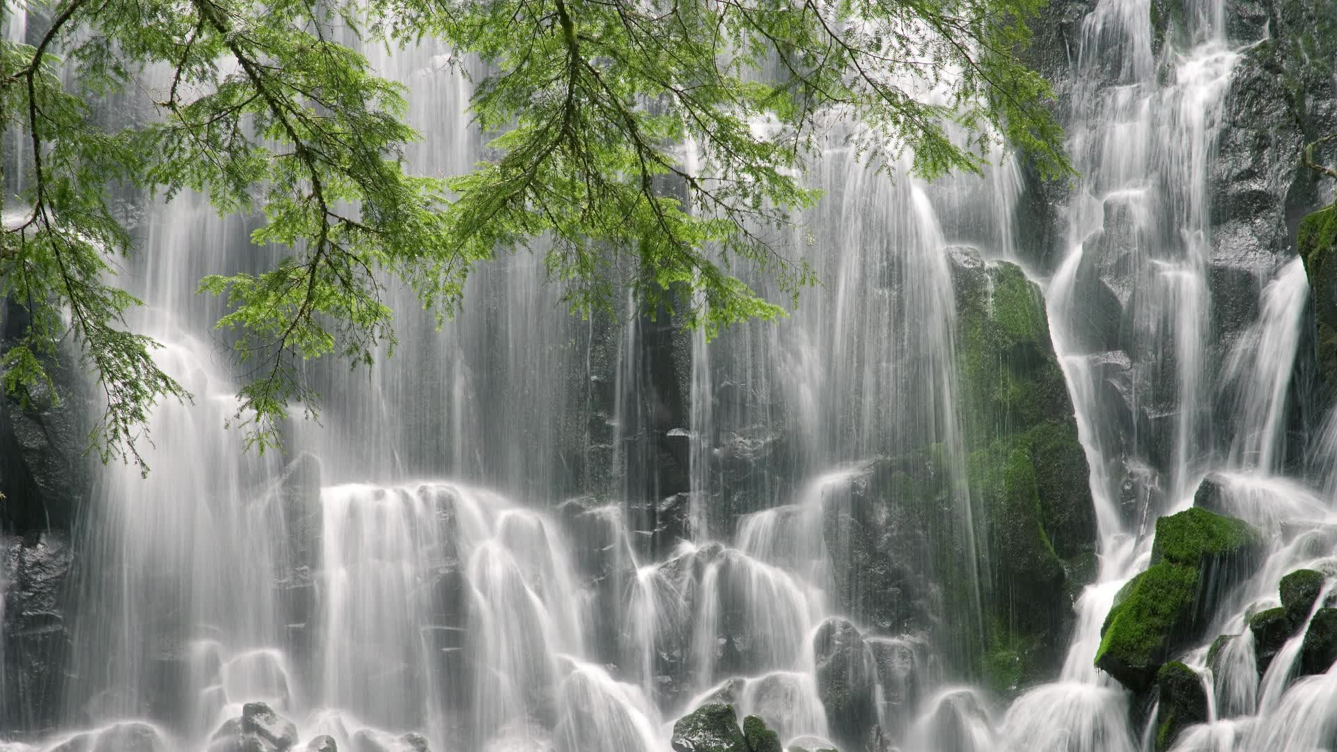 世界拳击公开赛：战术复盘与视频分析成为备战常态，世界拳击大赛视频